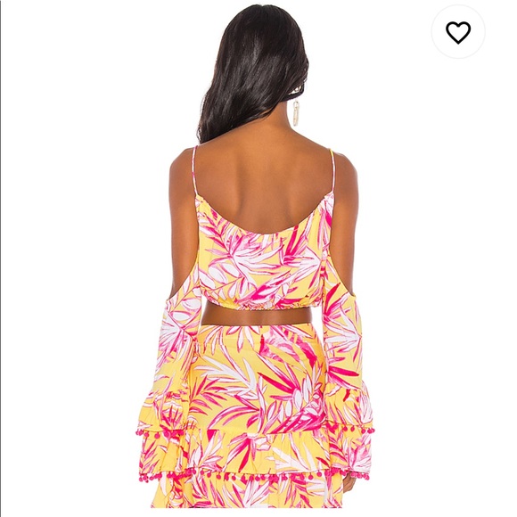 Lovers + Friends Yacht Party Crop in Festival Palm - Picture 3 of 6